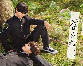 国产成人精品一区二三区熟女在线